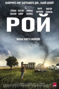 Рой