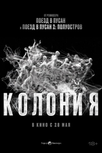 Колония