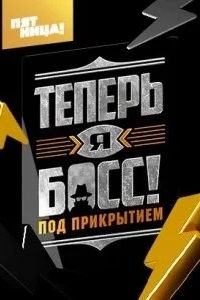 Теперь я босс под прикрытием