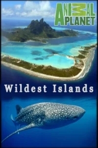 Неизведанные острова