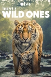 В мире дикой природы