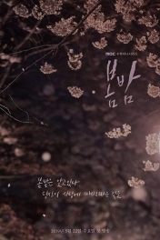 Весенняя ночь