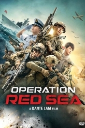 Операция в Красном море
