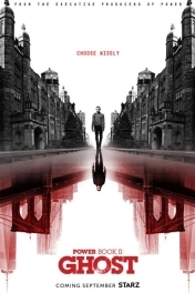 Власть в ночном городе. Книга 2: Призрак