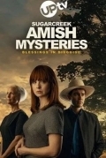 Тайны амишей из Шугар Крика: Нет худа без добра