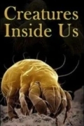 Существа внутри нас
