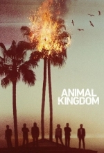 По волчьим законам