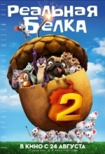 Реальная белка 2