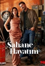 Моя прекрасная жизнь