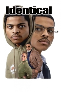 Идентичные