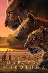 Царство животных