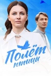 Полёт птицы