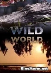 Мир Дикой Природы