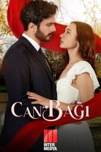 Струны души / Струны любви