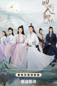 Запретный брак / Луна в твоих объятиях